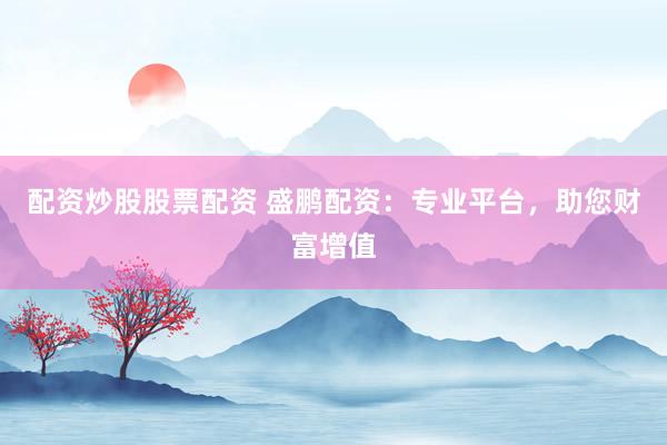 配资炒股股票配资 盛鹏配资：专业平台，助您财富增值