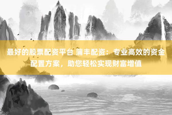 最好的股票配资平台 蒲丰配资：专业高效的资金配置方案，助您轻松实现财富增值
