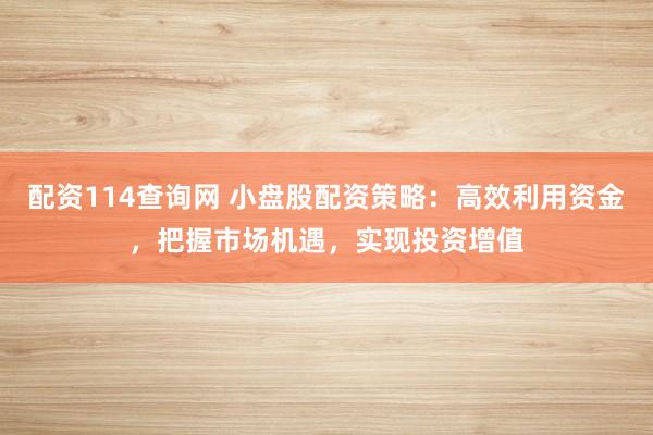 配资114查询网 小盘股配资策略：高效利用资金，把握市场机遇，实现投资增值