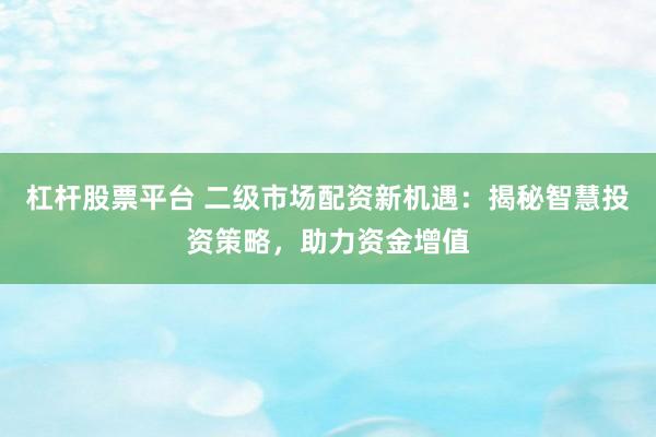 杠杆股票平台 二级市场配资新机遇：揭秘智慧投资策略，助力资金增值