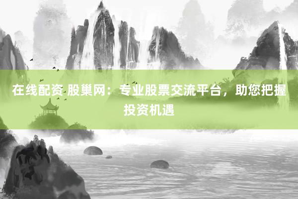 在线配资 股巢网：专业股票交流平台，助您把握投资机遇