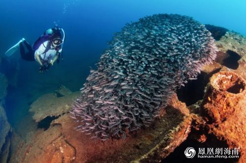 2020年中国三亚 爱上深蓝 国际水下嘉年华在蜈支洲岛启动
